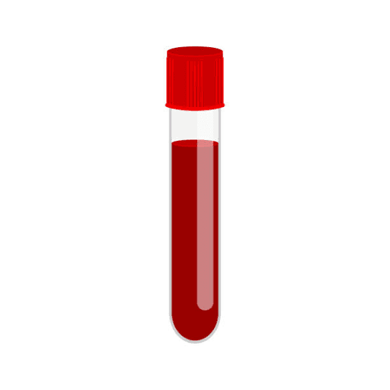 Blood Bank Management